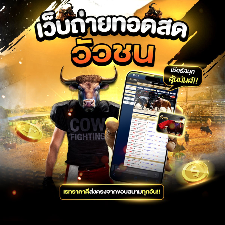 ถ่ายทอดสดวัวชน