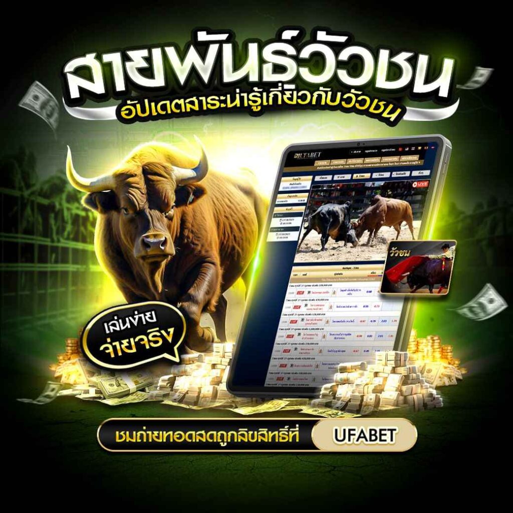 สายพันธุ์วัวชน