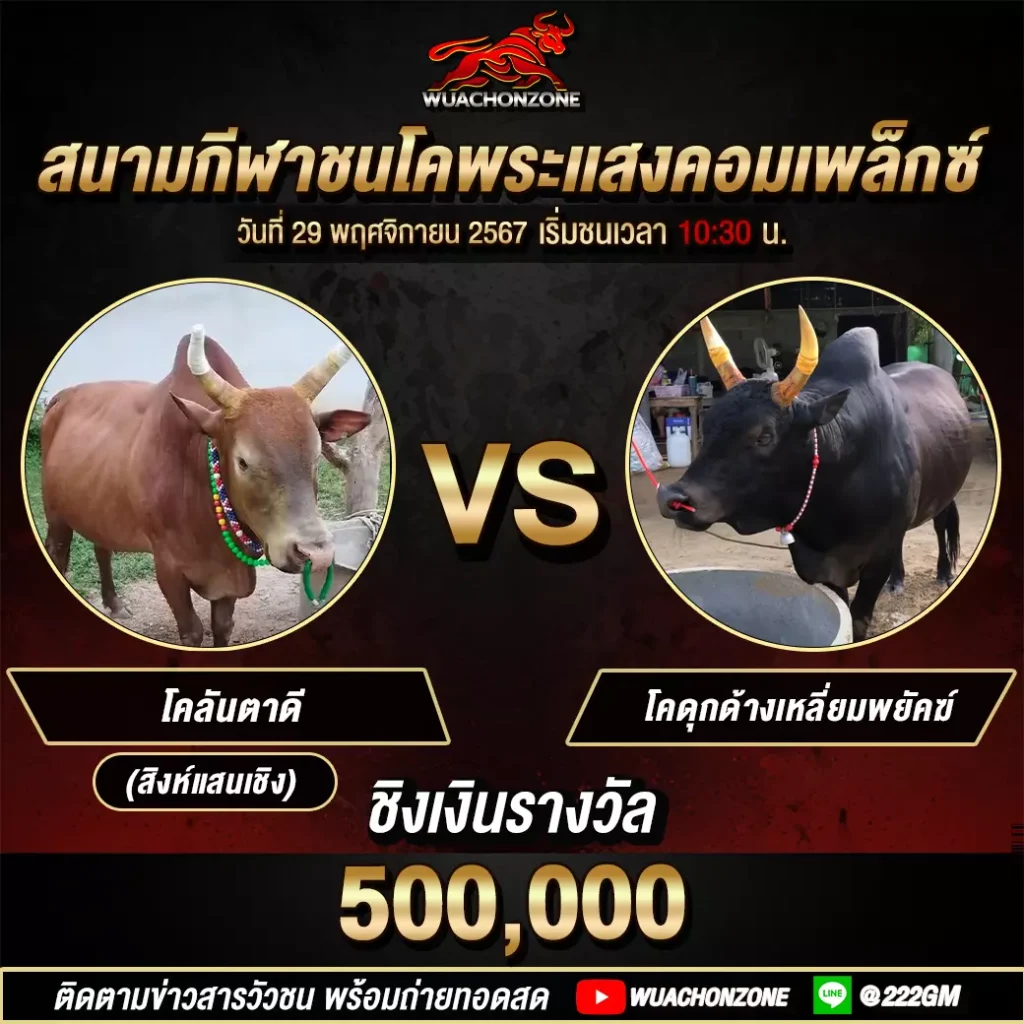 สนามโกตี๋ยุคใหม่ วันที่ 29