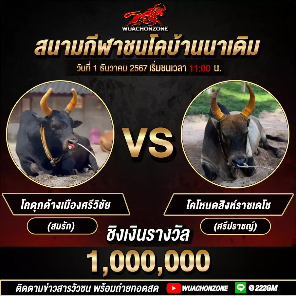 สนามนาเดิม วันที่ 1ธันวาคม 2567