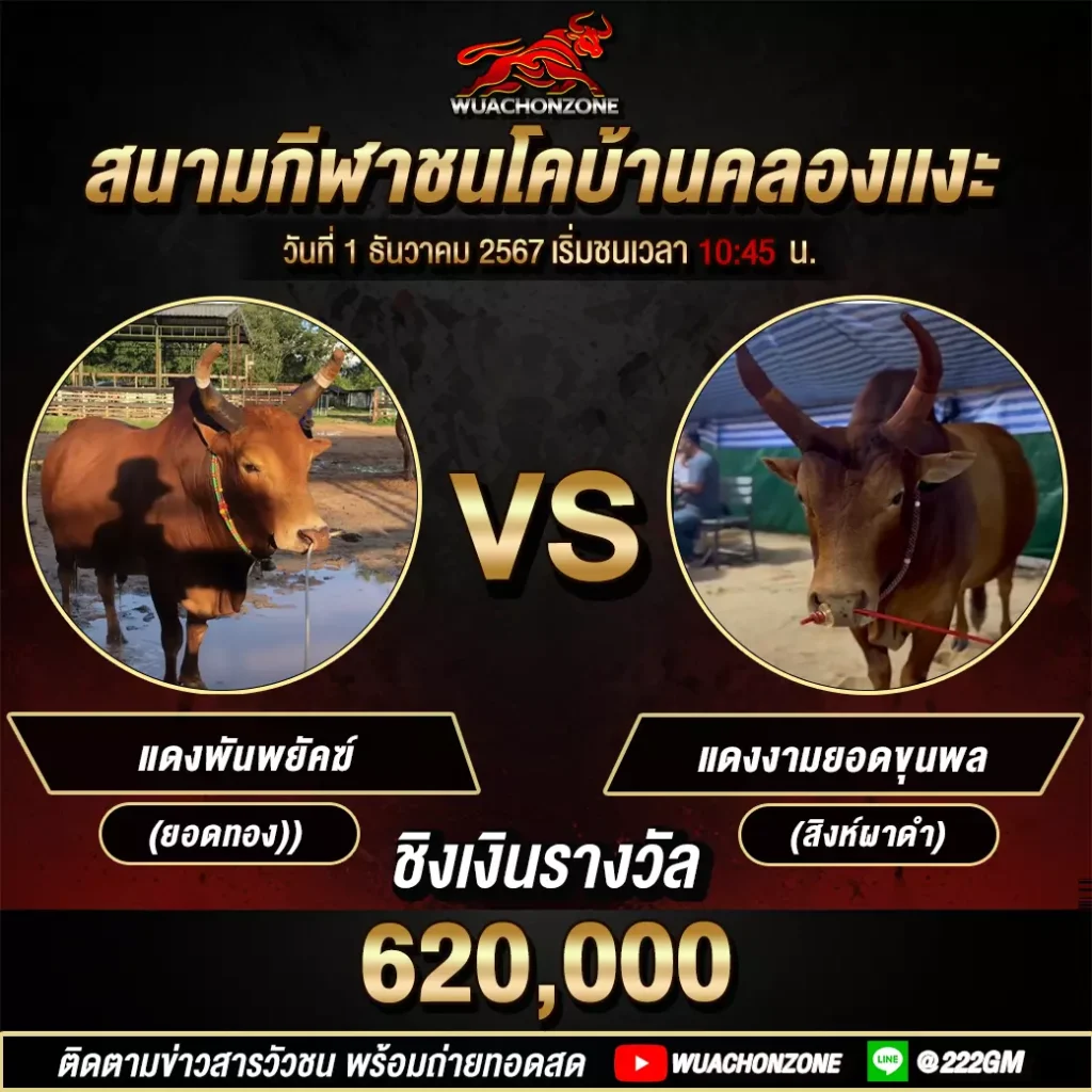 สนามบ้านคลองเเงะ วันที่ 1 ธันวาคม 2567