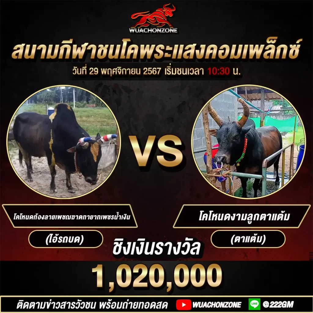 สนามพระเเสงคอมเพล็กซ์ วันที่ 29