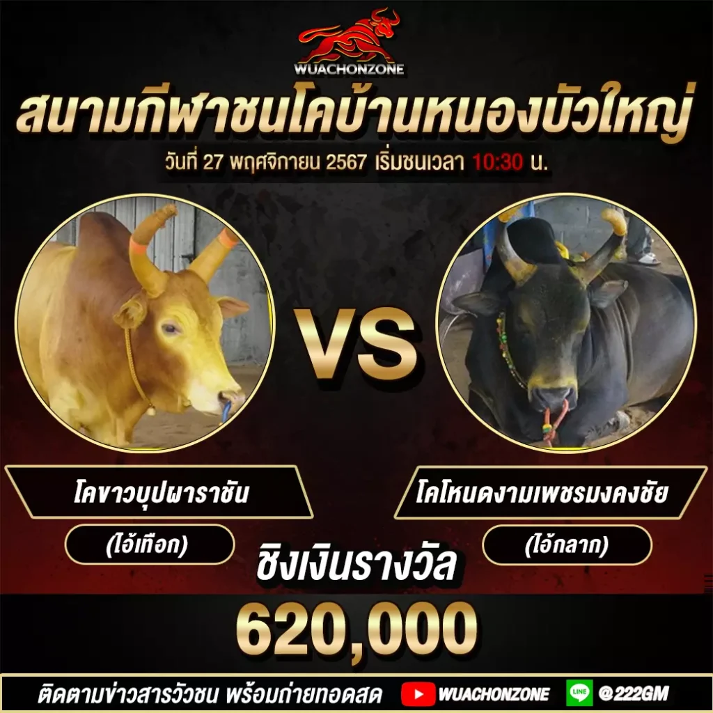 บัวใหญ่ 27