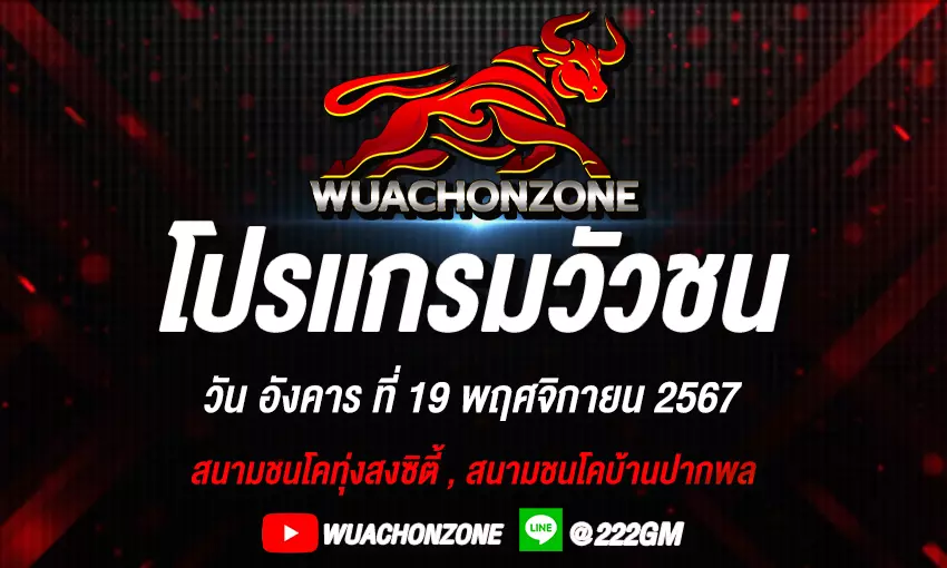โปรเเกรมวัวชน วันที่ 19 พฤศจิกายน 2567