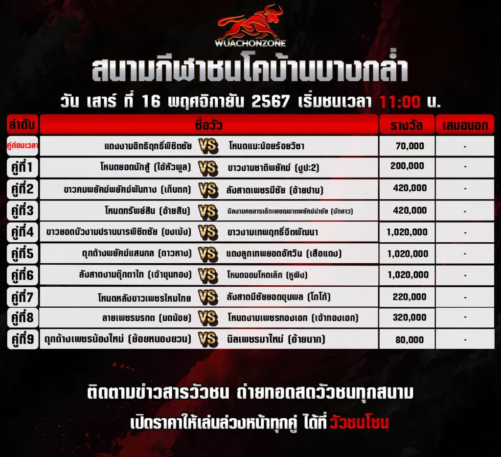 โปรแกรมวัวชน สนามบ้านบางกล่ำ