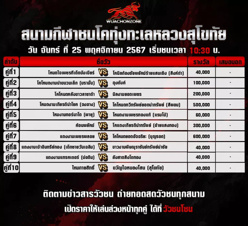 โปรแกรมวัวชน ทุ่งทะเลหลวงสุโขทัย วันที่ 25