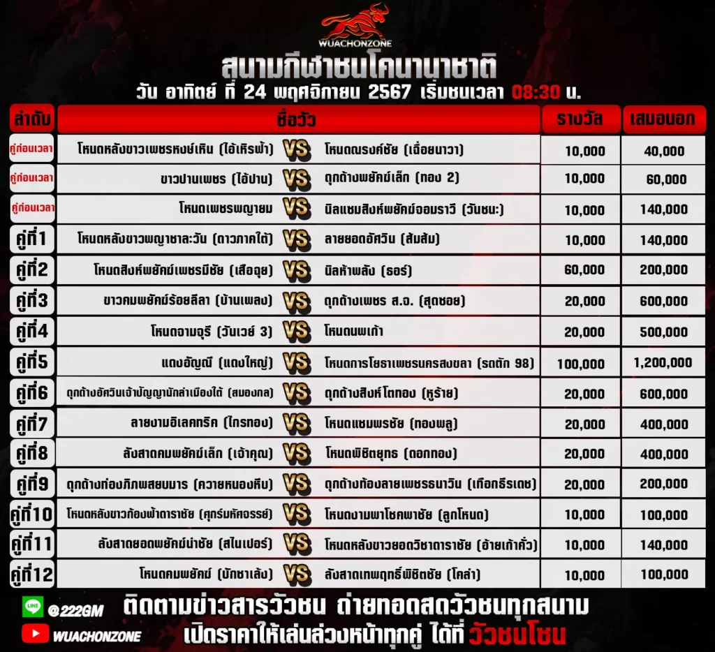 โปรแกรมวัวชน นานาชาติ วันที่ 24 พฤศจิกายน 2567