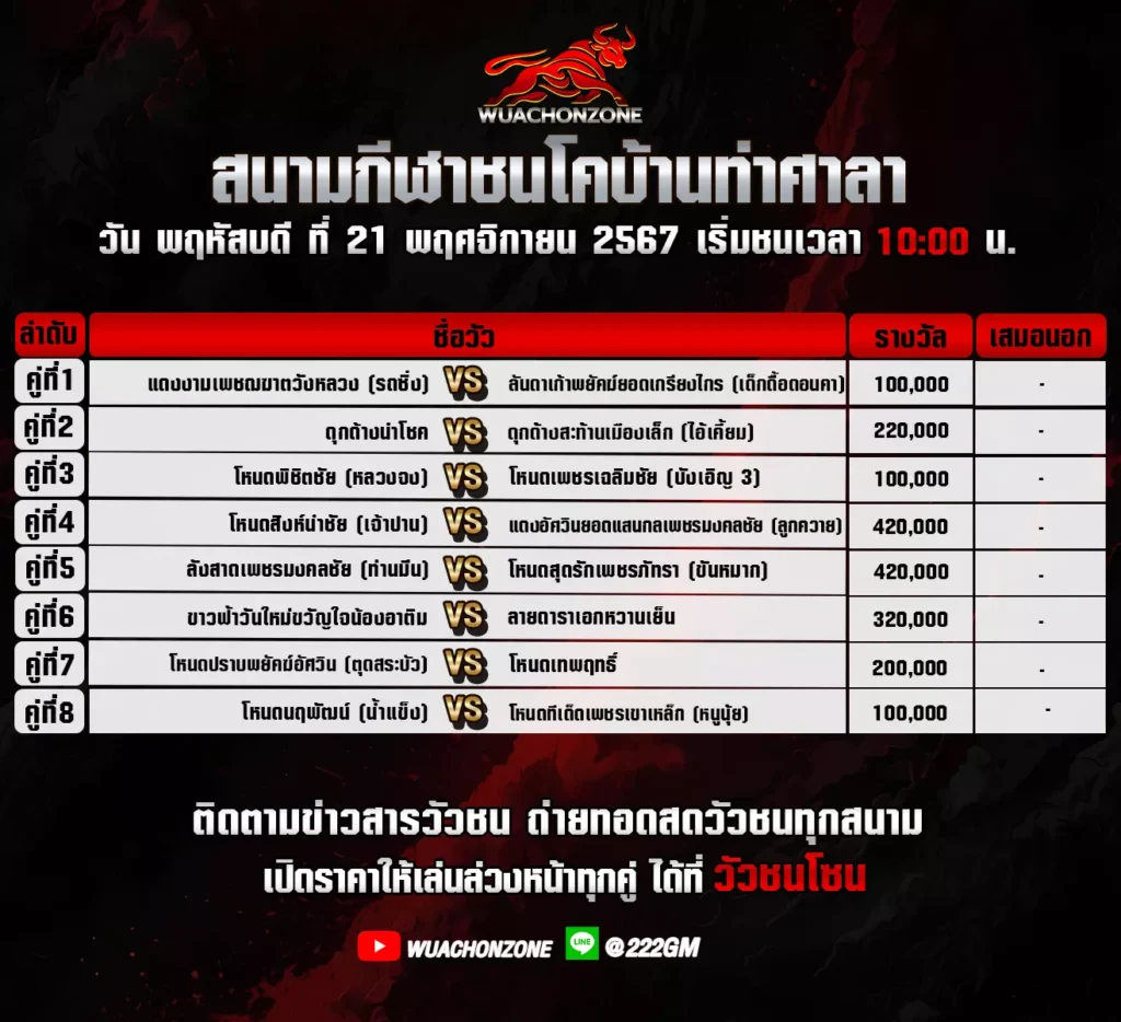โปรแกรมวัวชน สนามชนโคบ้านท่าศาลา วันที่21 พฤศจิกายน 2567