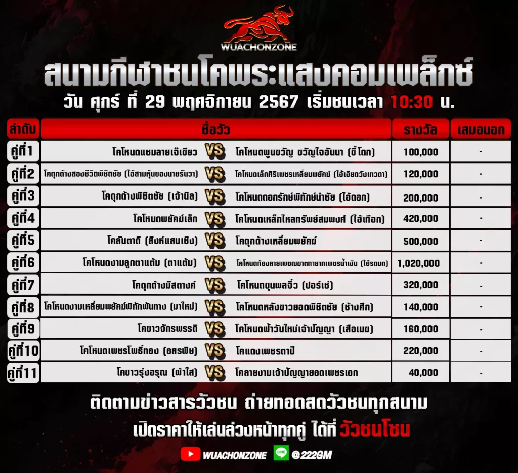 โปรแกรมวัวชน สนามพระเเสงคอมเพล็กซ์ วันที่ 29 พฤศจิกายน 2567