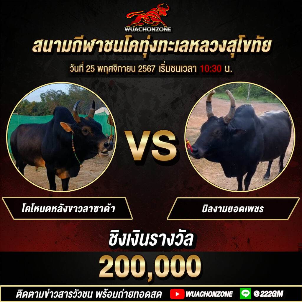 ทุ่งทะเลหลวงสุโขทัย วันที่ 25