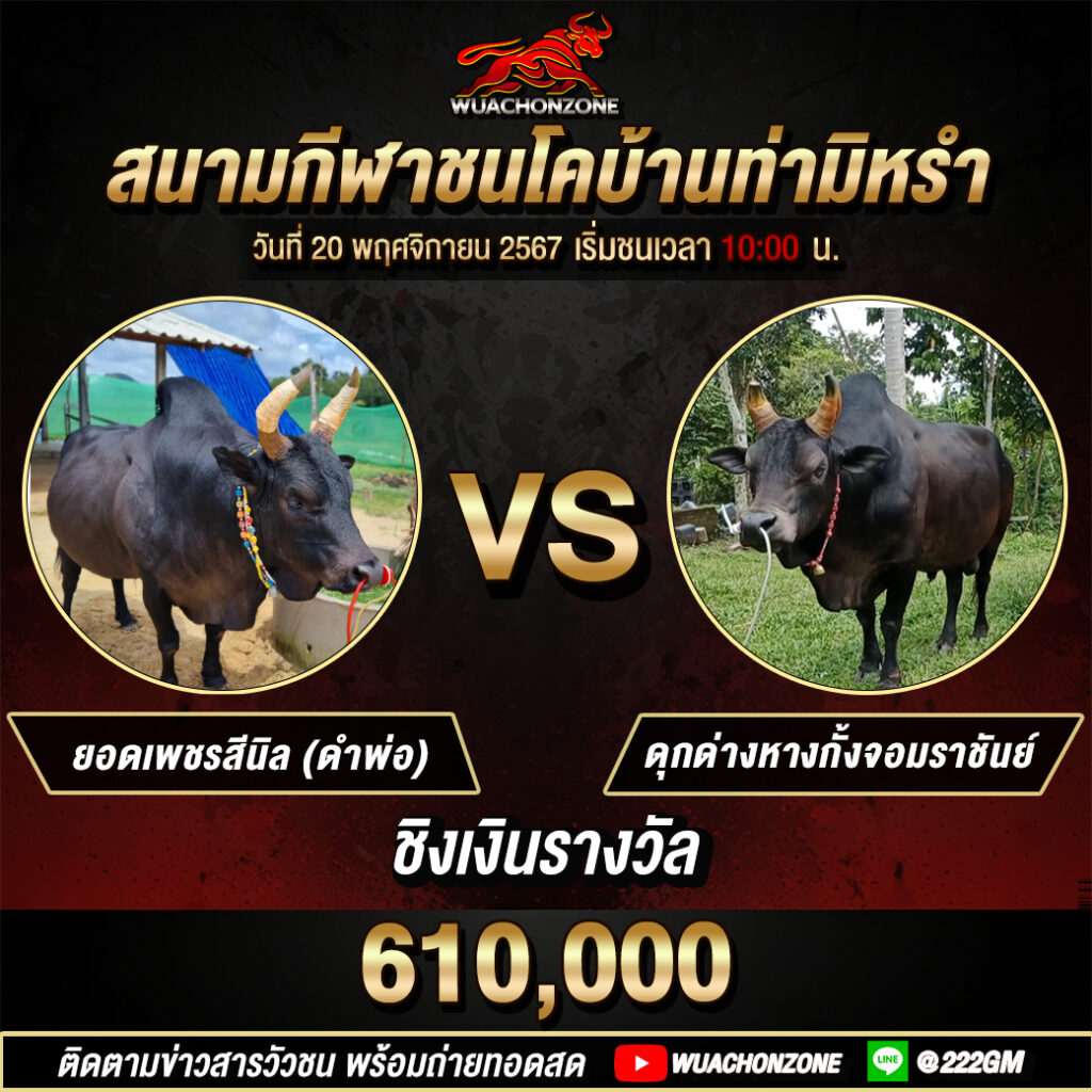 สนามบ้านท่ามิหรำ วันที่ 20 พฤศจิกายน 2567