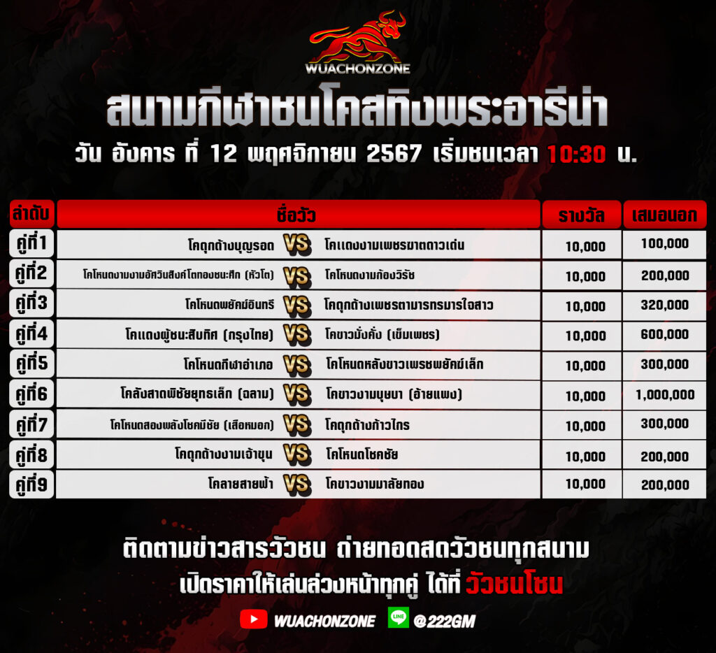 โปรแกรมวัวชน 9 คู่