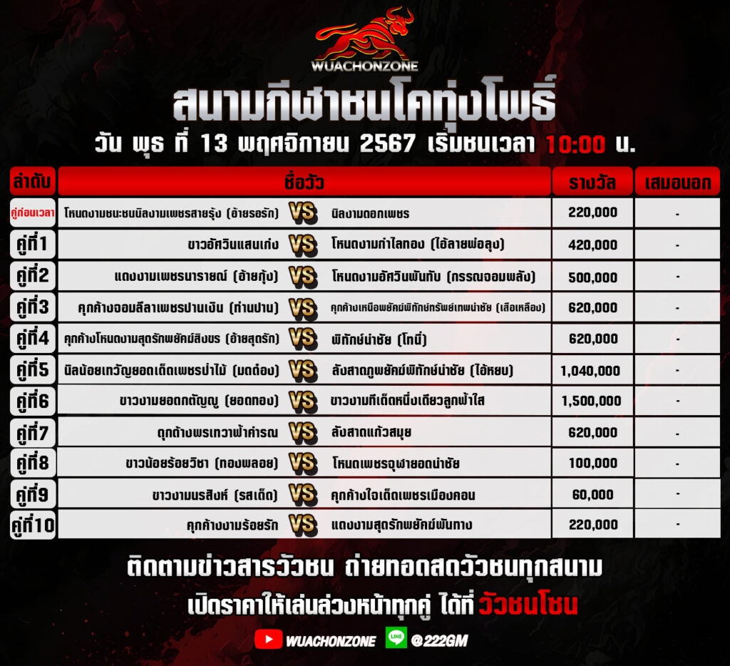 โปรแกรมวัวชน ทุ่งโพธิ์ วันที่13