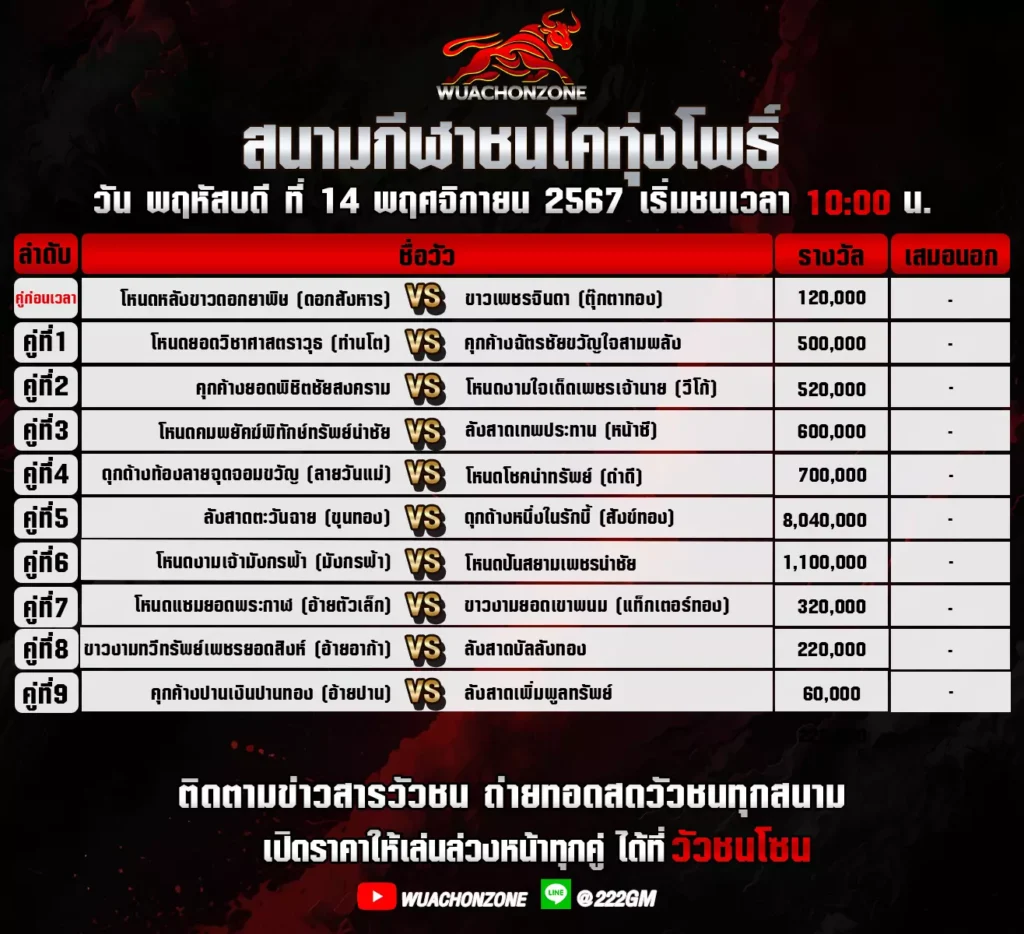 โปรแกรมวัวชน ทุ่งโพธิ์ วันที่14