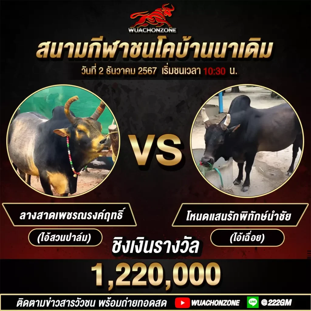 นาเดิมวันที่ 2