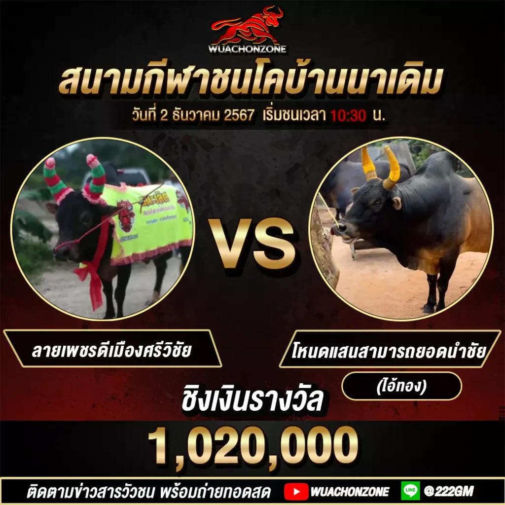 คู่เอก นาเดิม วันที่ 2 ธันวาคม