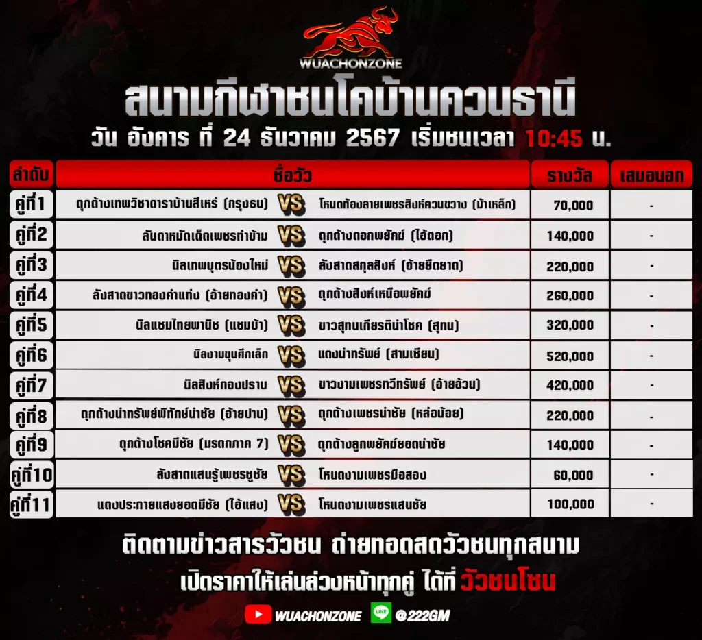 โปรแกรมวัวชน บ้านควนธานี วันที่ 24 ธันวาคม 2567