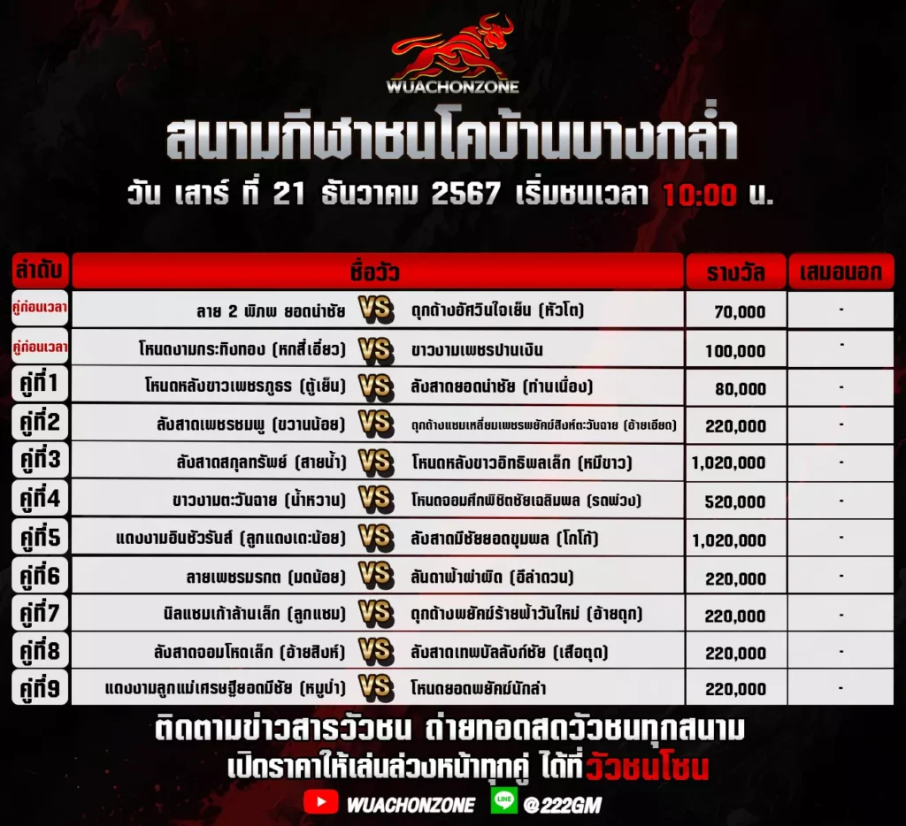 โปรแกรมวัวชน บ้านบางกล่ำ วันที่ 21 ธันวาคม 2567