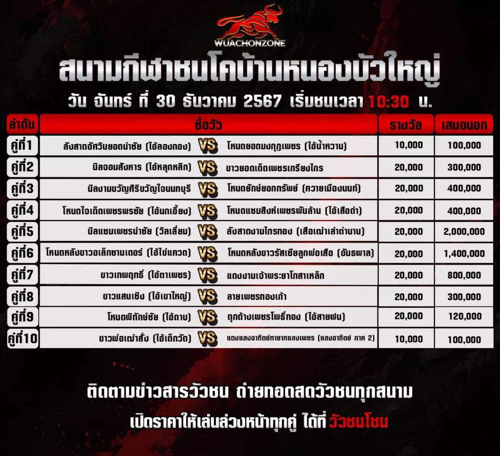 โปรแกรมวัวชนโค บ้านหนองบัวใหญ่วันที่ 30 ธันวาคม 2567