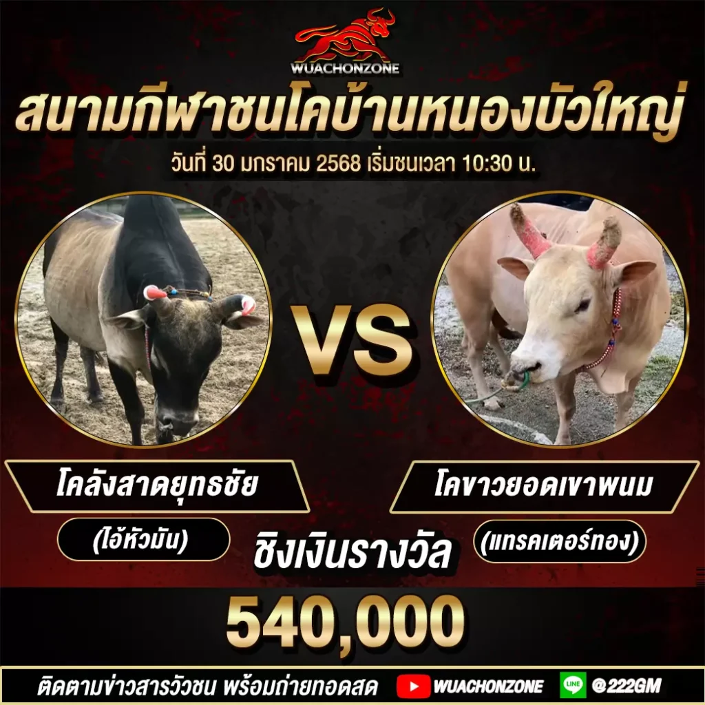 คู่ล้าน หนองบัวใหญ่ วันที่ 30