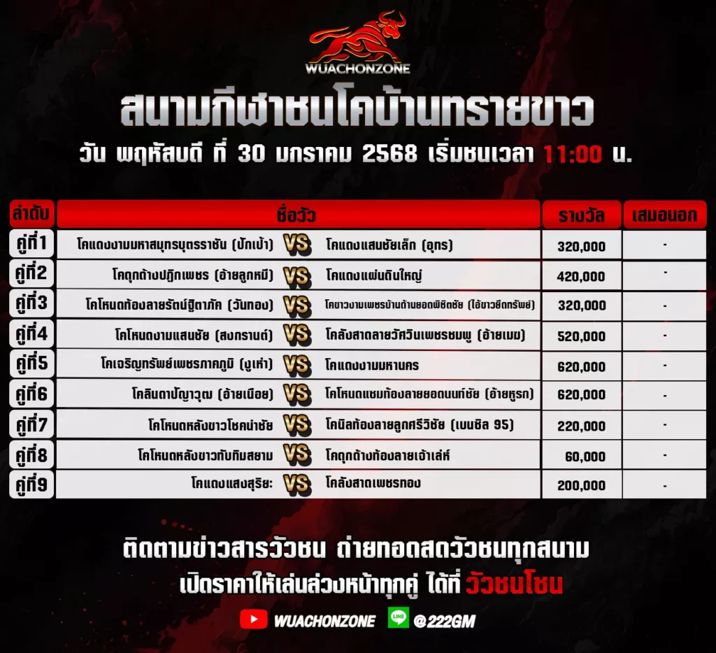 โปรแกรมวัวชน สนาม บ้านทรายขาว วันที่ 30 มกราคม 2568
