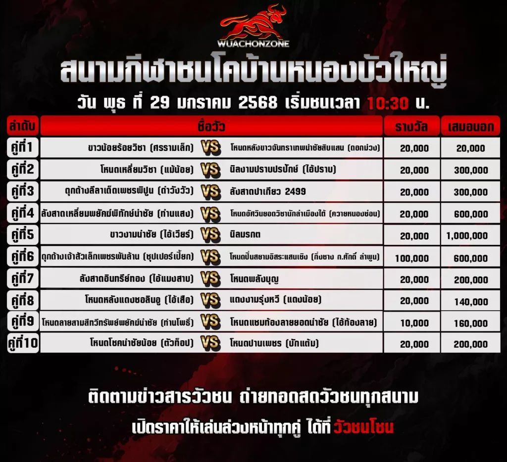 โปรแกรมวัวชน สนาม บ้านหนองบัวใหญ่ วันที่ 29 มกราคม 2568