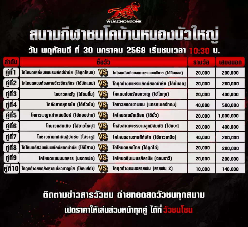 โปรแกรมวัวชน สนาม บ้านหนองบัวใหญ่ วันที่ 30 มกราคม 2568
