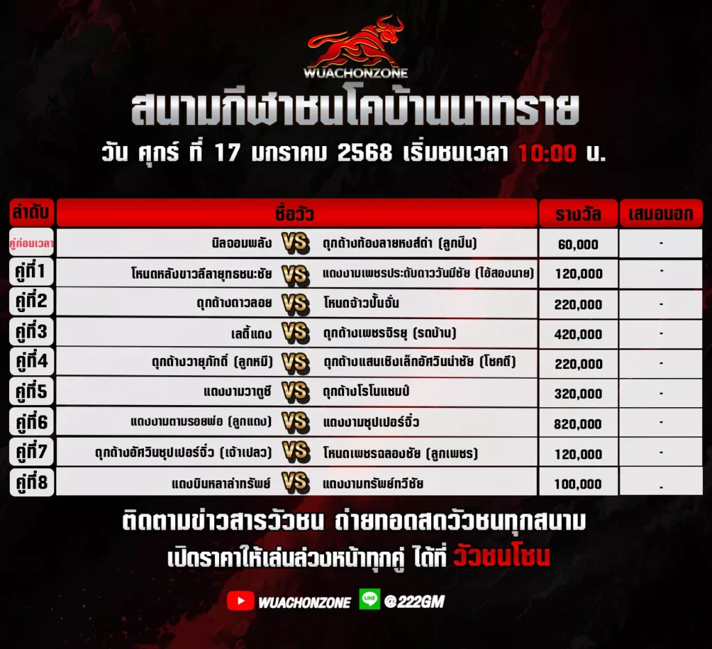 โปรแกรมวัวชนโค บ้านนาทราย วันที่ 17 มกราคม 2568