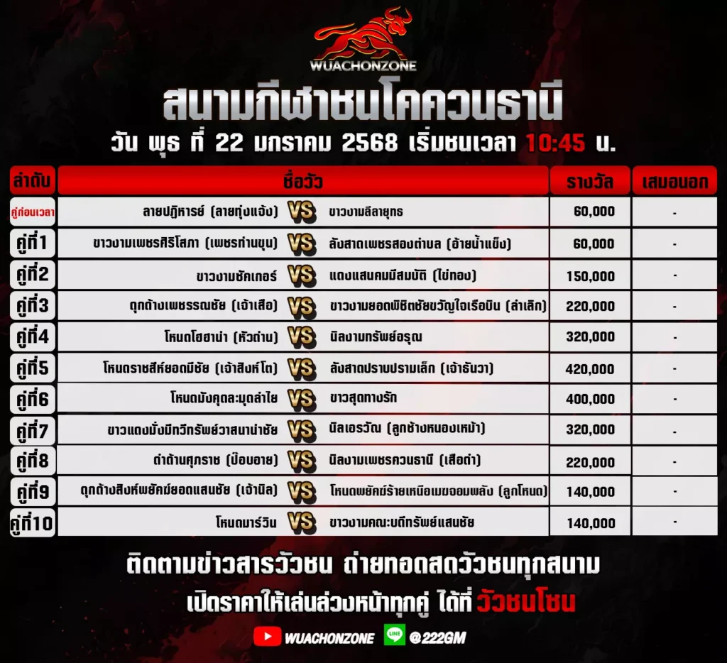 โปรแกรมวัวชนโค บ้านควนธานี