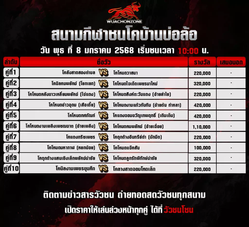 โปรแกรมวัวชนโค บ้านบ่อล้อ วันที่ 8 มกราคม 2568