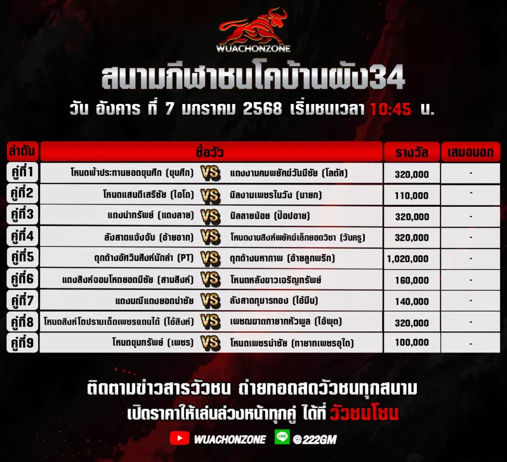 โปรแกรมวัวชนโค บ้านผัง34 วันที่ 7 มกราคม 2568