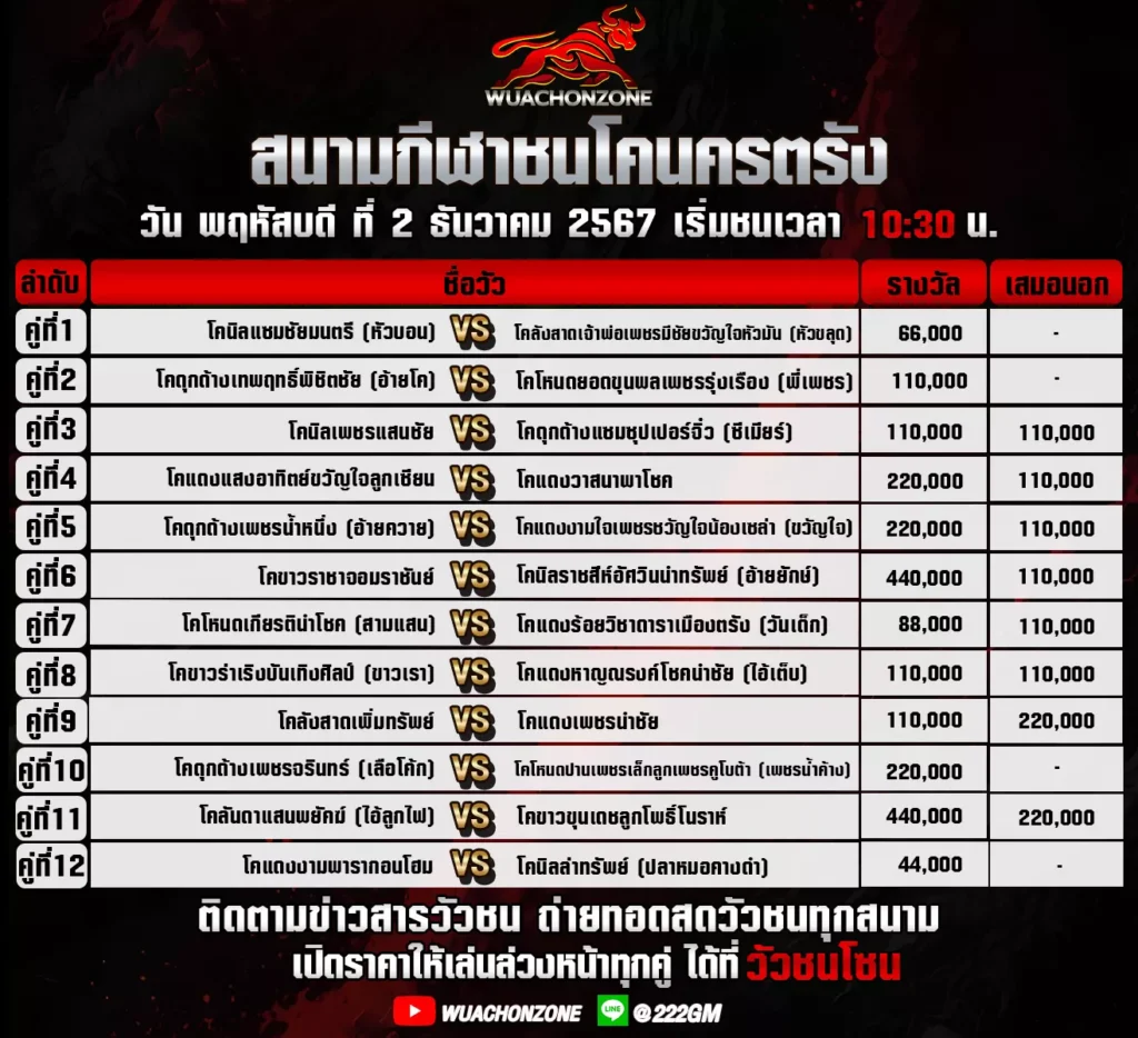โปรแกรมวัวชนโค บ้านหนองบัวใหญ่วันที่ 2 มกราคม 2568