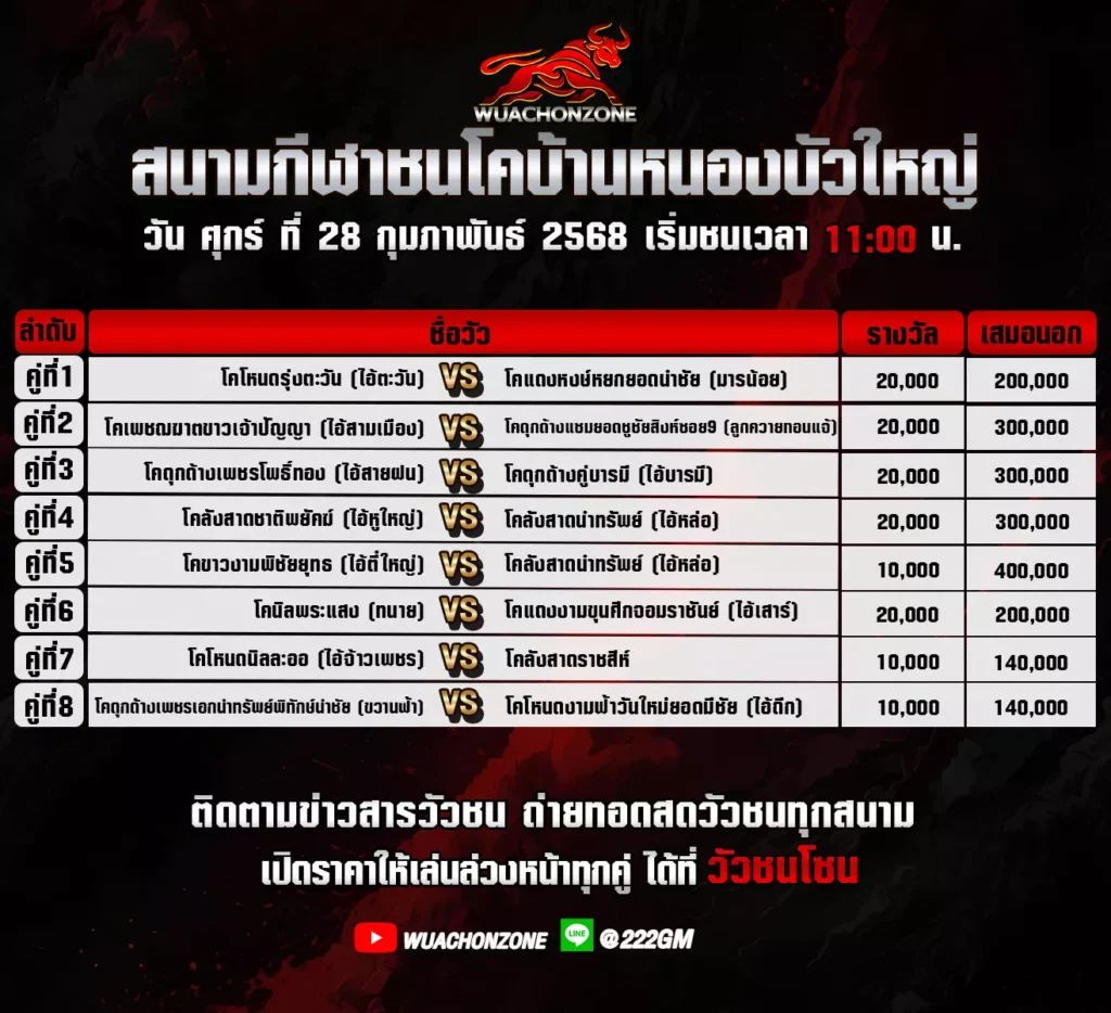 โปรแกรมวัวชน สนาม บ้านหนองบัวใหญ่ วันที่ 28 กุมภาพันธ์ 2568