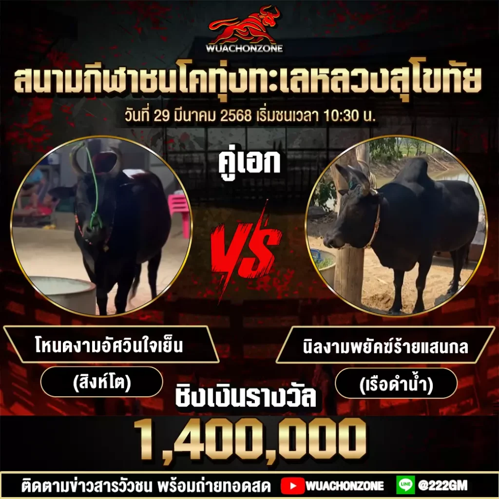 คู่ล้านสนาม ทุ่งทะเลหลวง