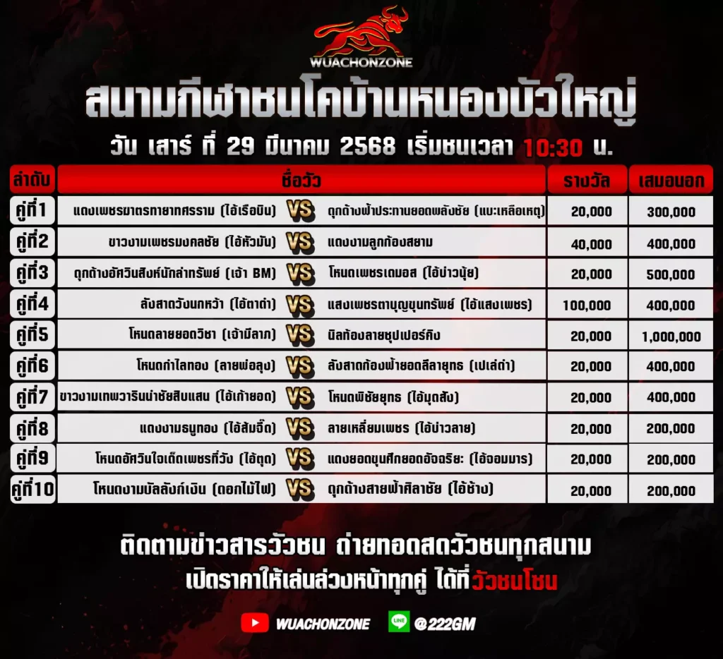 โปรแกรมวัวชน วันที่ 29 มีนาคม 2568