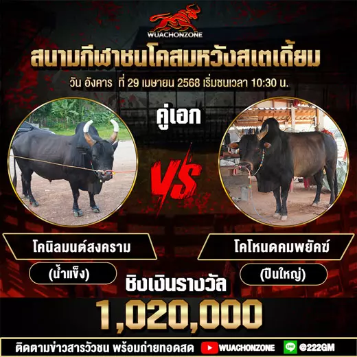 โปรแกรมวัวชน วันที่ 29 เมษายน 2568