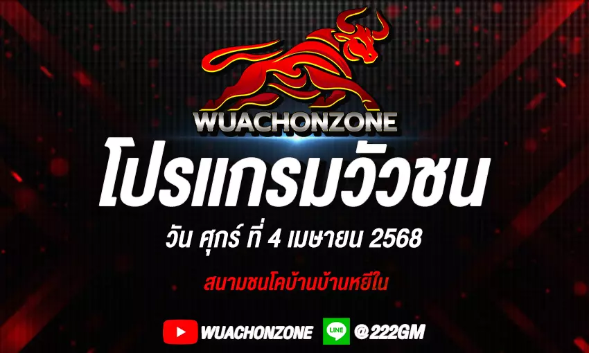 โปรแกรมวัวชน วันที่ 4 เมษายน 2568