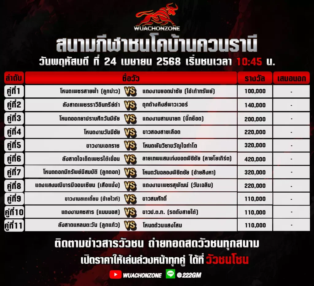 โปรแกรมวัวชน วันที่ 24 เมษายน 2568