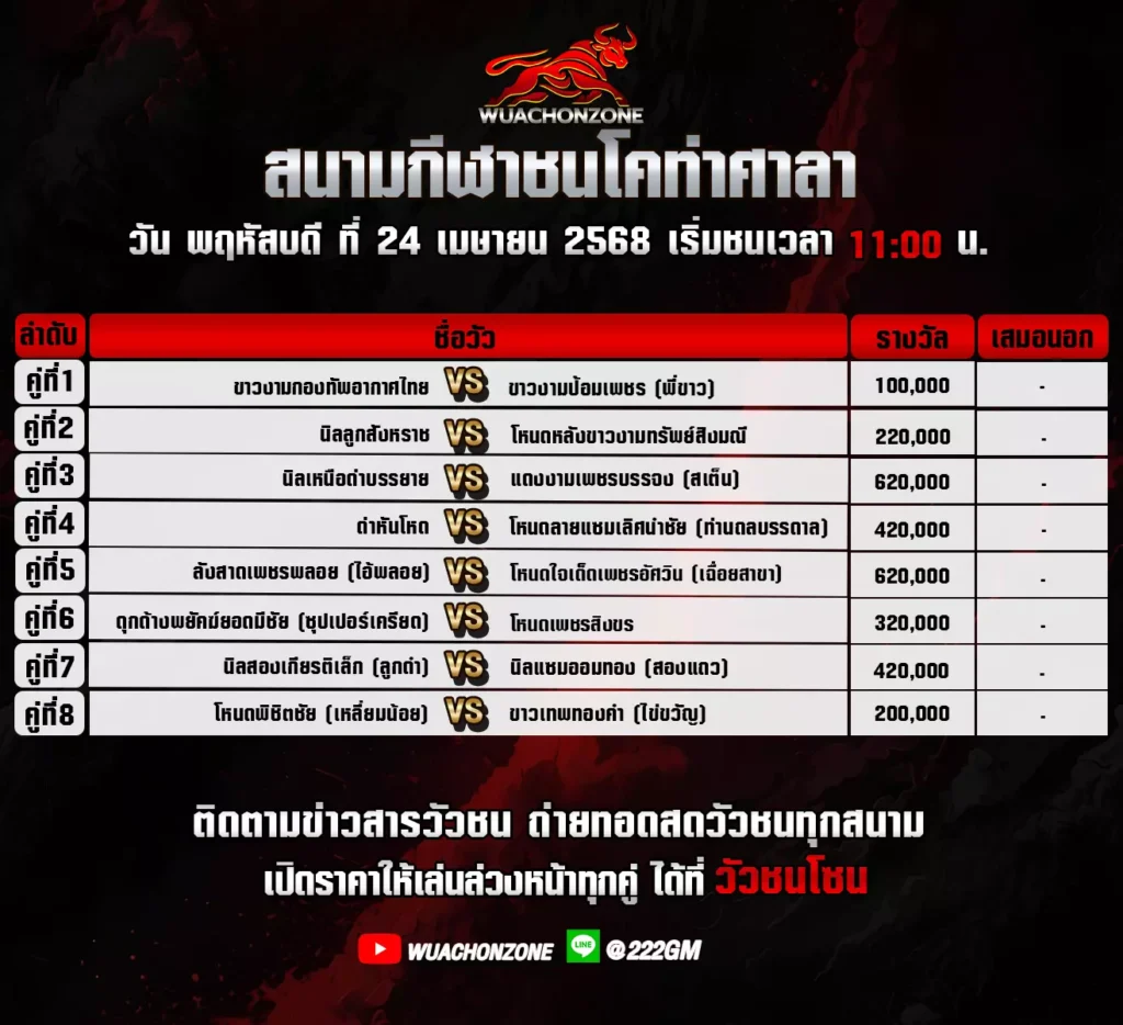 โปรแกรมวัวชน วันที่ 24 เมษายน 2568