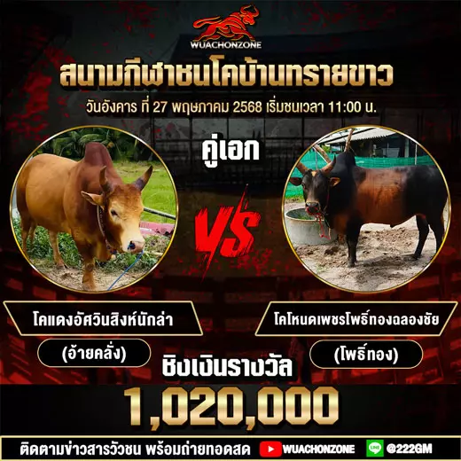 โปรแกรมวัวชน วันที่ 27 พฤษภาคม 2568