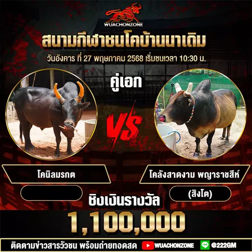 โปรแกรมวัวชน วันที่ 27 พฤษภาคม 2568