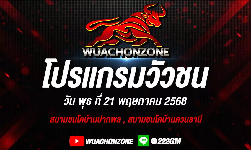 โปรแกรมวัวชน วันที่ 21 พฤษภาคม 2568