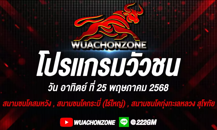 โปรแกรมวัวชน วันที่ 25 พฤษภาคม 2568