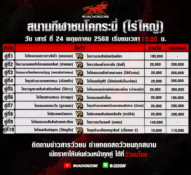 โปรแกรมวัวชน วันที่ 24 พฤษภาคม 2568