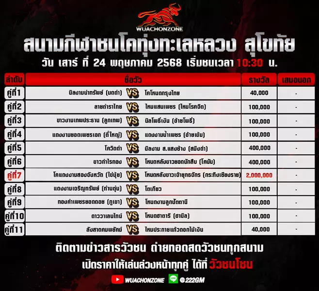 โปรแกรมวัวชน วันที่ 24 พฤษภาคม 2568