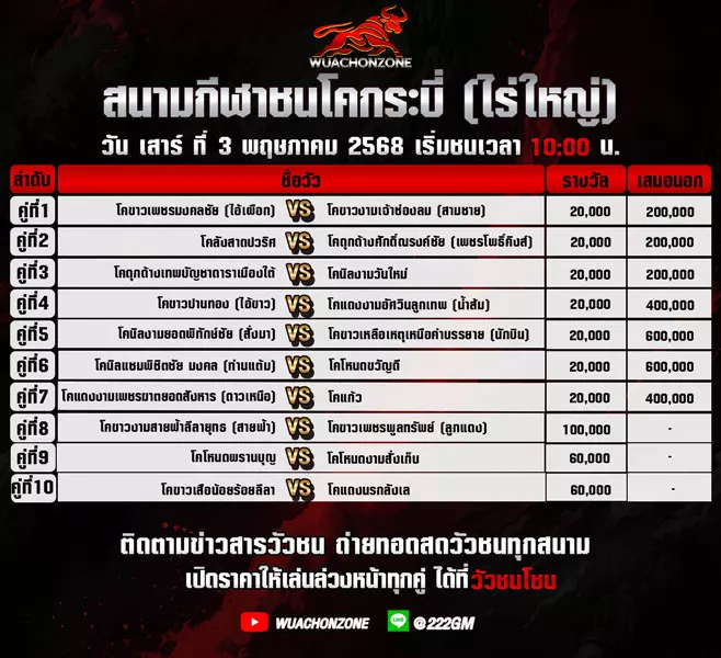 โปรแกรมวัวชน วันที่ 3 เมษายน 2568