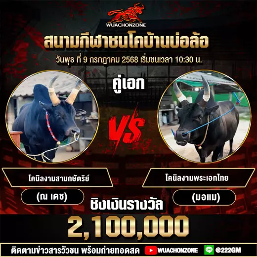 โปรแกรมวัวชน วันที่ 9 กรกฎาคม 2568