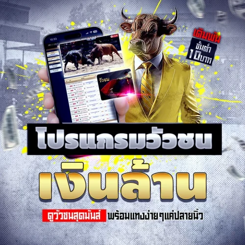 โปรแกรมวัวชน