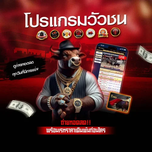 โปรแกรมวัวชน